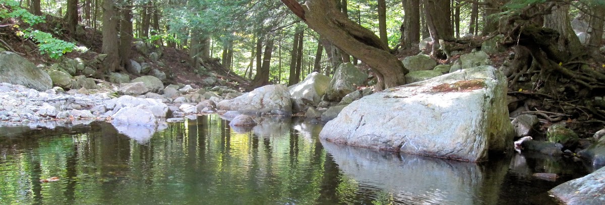 Banner Mistral's At Toll Gate 03